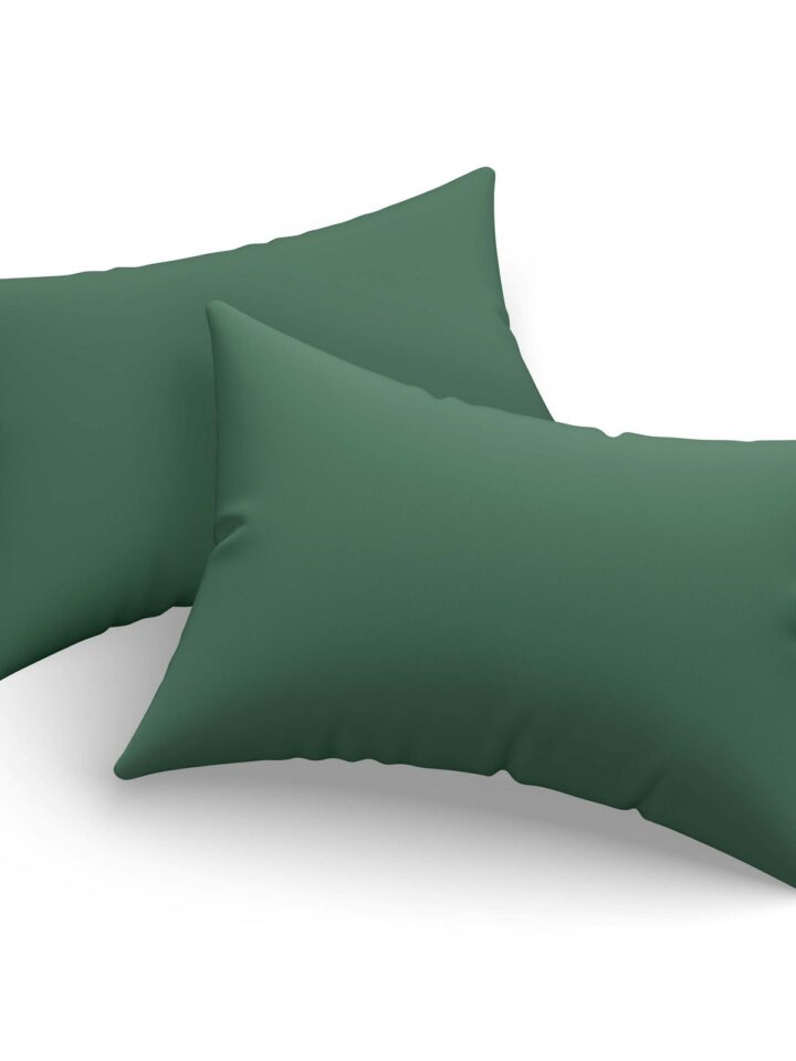 Monstera - Green v2